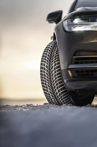 Nokian WR Snowproof P - 3
