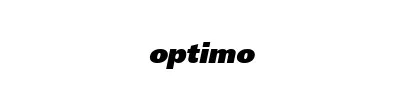 Optimo Winter Touring OW41